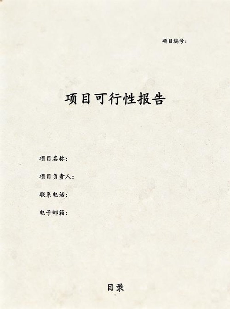 项目可行性报告